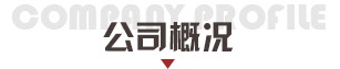 公司概况